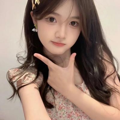 长袜子皮皮的新冒险封面